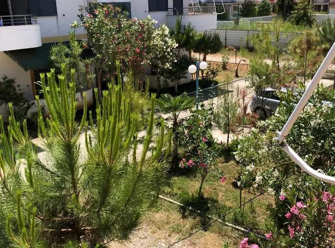 Eldi's Golem (Tirana)